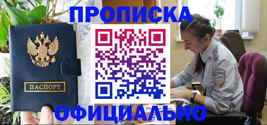 прописка для школы в Сальске